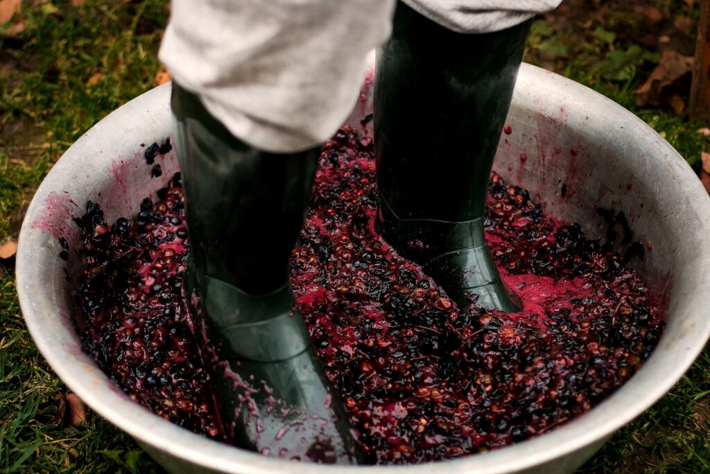 Is drinking a lot of wine bad for you Nutt So Ruff